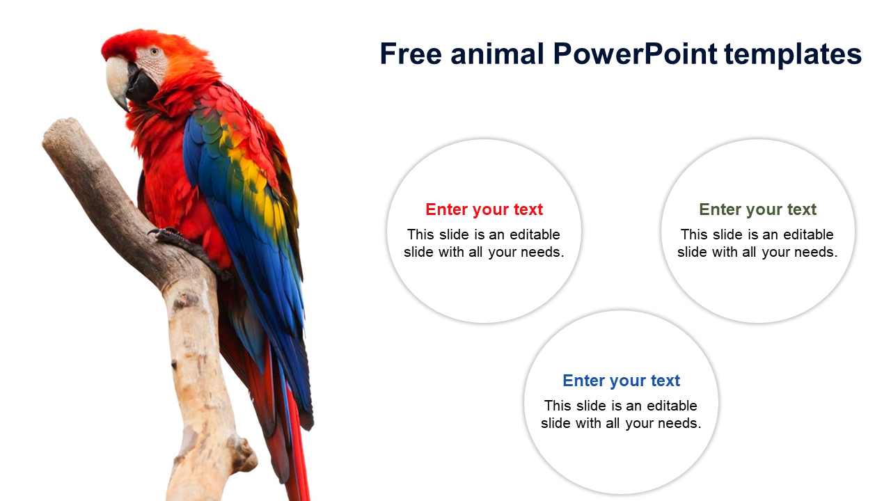 Free - Attractive Free Animal PowerPoint Templates Designs